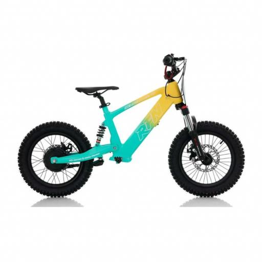 BICICLETA ELÉCTRICA SIN PEDALES ROAN RXF 16" verde y amarillo 350 W [2]