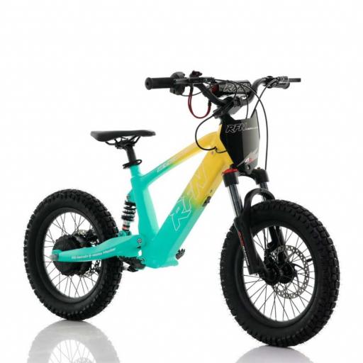 BICICLETA ELÉCTRICA SIN PEDALES ROAN RXF 16" verde y amarillo 350 W [1]