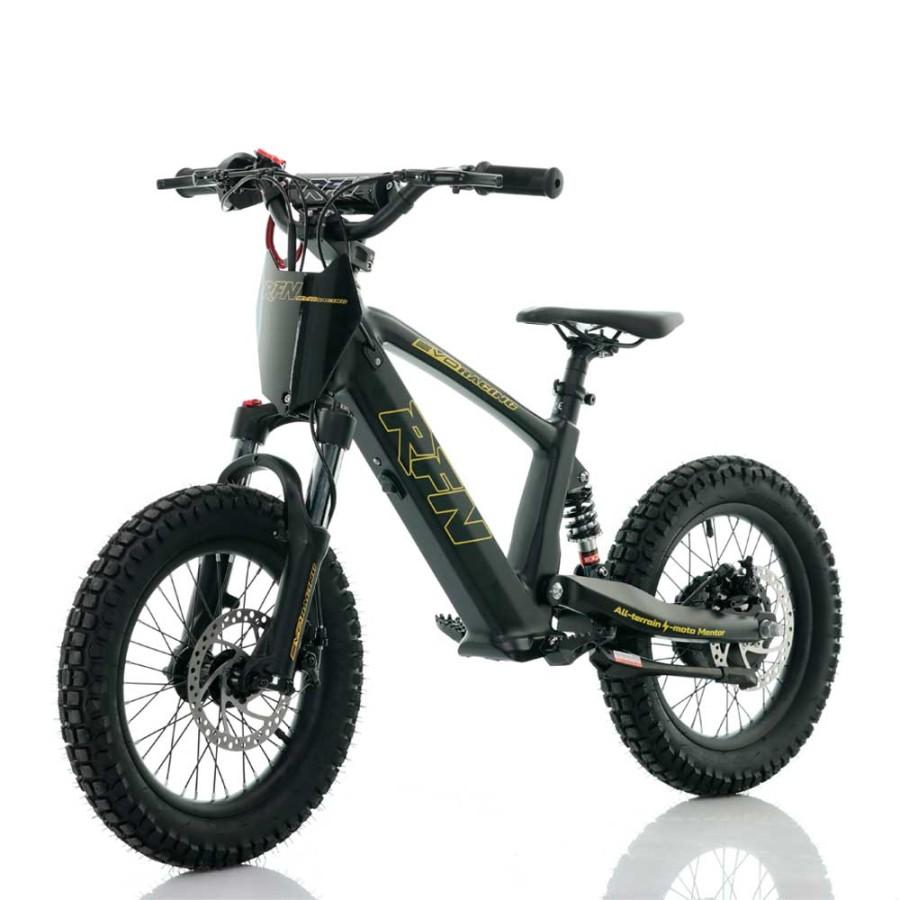 BICICLETA ELÉCTRICA SIN PEDALES ROAN RXF 16" negra 350 W