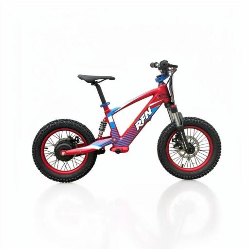 BICICLETA ELÉCTRICA SIN PEDALES ROAN RXF 16" roja 350 W [1]