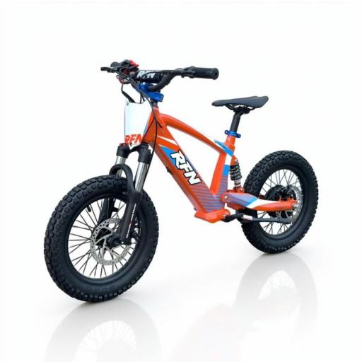 BICICLETA ELÉCTRICA SIN PEDALES ROAN RXF 16" naranja 350 W [0]