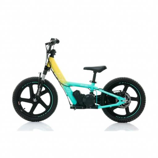 Bicicleta electrica RXF 16" PRO 250 W verde y amarillo [3]