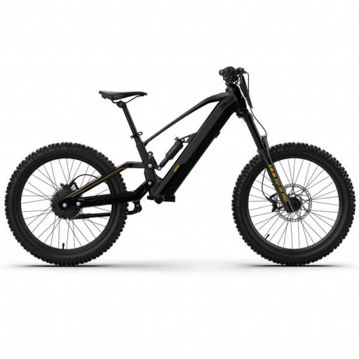 *Reserva* Bicicleta eléctrica sin pedales 1000W 48V RFN EVO PRO 24” [5]