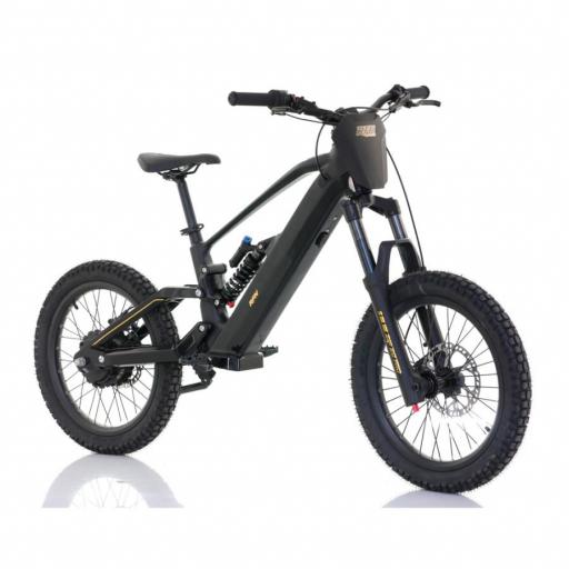Bicicleta eléctrica RFN ZIP PRO 20" 1000W 48V – 2026 [1]