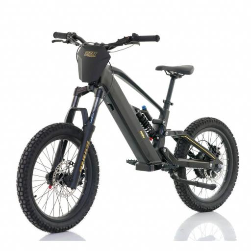 Bicicleta eléctrica RFN ZIP PRO 20" 1000W 48V – 2026 [0]