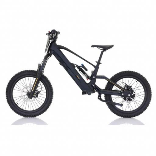 Bicicleta eléctrica RFN ZIP PRO 20" 1000W 48V – 2026 [5]