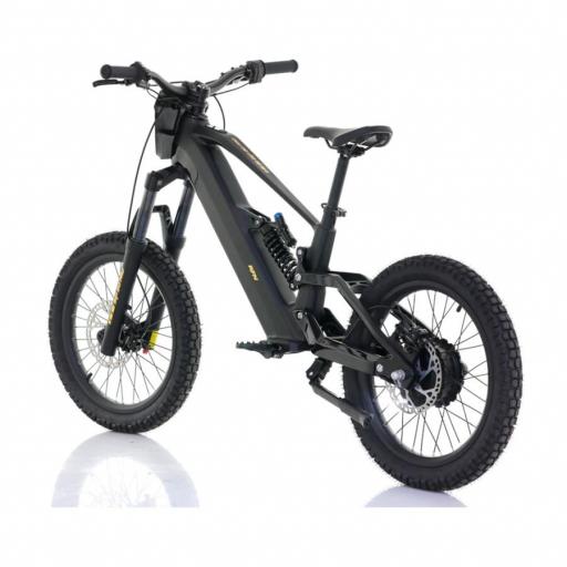 Bicicleta eléctrica RFN ZIP PRO 20" 1000W 48V – 2026 [2]