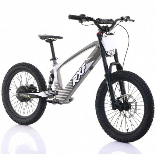 BICICLETA ELÉCTRICA SIN PEDALES ROAN RXF 20" Gris 750 W [3]