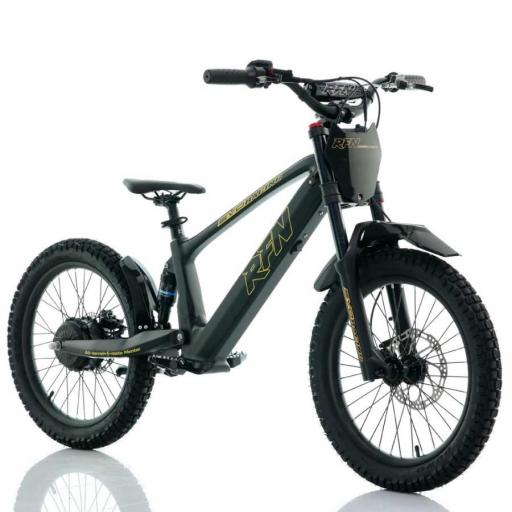 BICICLETA ELÉCTRICA SIN PEDALES RFN 20" Negra y dorada 750 W Evo Racing [3]