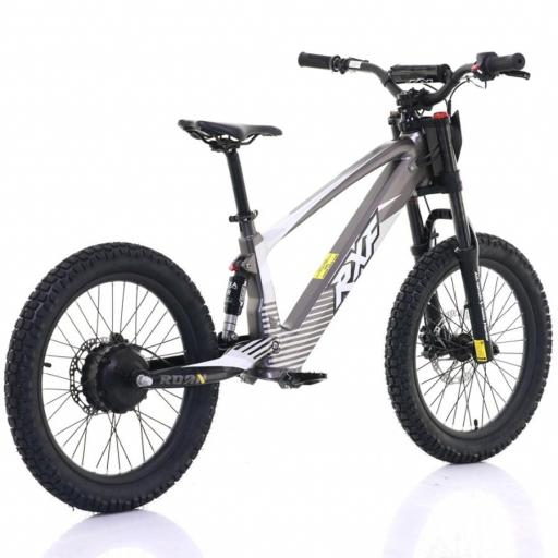 BICICLETA ELÉCTRICA SIN PEDALES ROAN RXF 20" Gris 750 W [4]