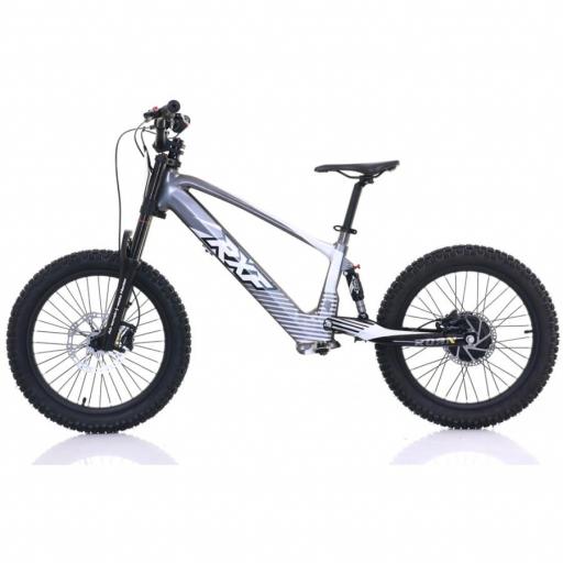 BICICLETA ELÉCTRICA SIN PEDALES ROAN RXF 20" Gris 750 W [2]