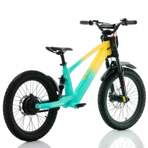 BICICLETA ELÉCTRICA SIN PEDALES RFN 20" Verde y amarillo 750 W Evo Racing [3]