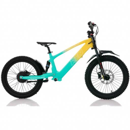 BICICLETA ELÉCTRICA SIN PEDALES RFN 20" Verde y amarillo 750 W Evo Racing [2]