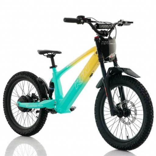 BICICLETA ELÉCTRICA SIN PEDALES RFN 20" Verde y amarillo 750 W Evo Racing [1]