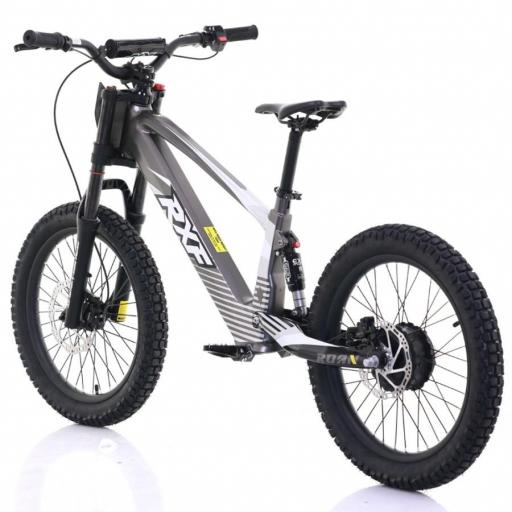 BICICLETA ELÉCTRICA SIN PEDALES ROAN RXF 20" Gris 750 W [1]