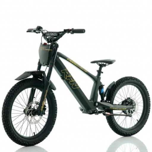 BICICLETA ELÉCTRICA SIN PEDALES RFN 20" Negra y dorada 750 W Evo Racing [0]
