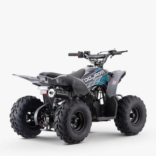 QUAD Apollo Sano PREDATOR 110 CC Infantil [0]