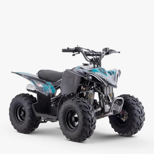 QUAD Apollo Sano PREDATOR 110 CC Infantil
