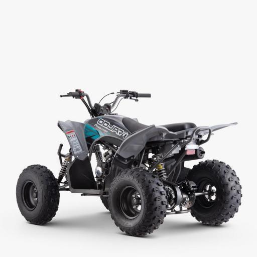 QUAD Apollo Sano PREDATOR 125 CC Infantil [4]
