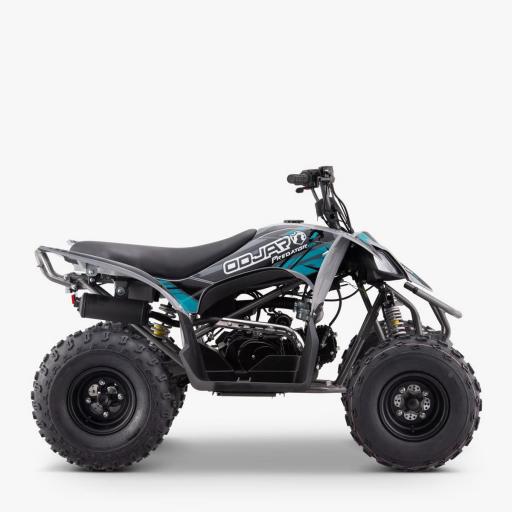 QUAD Apollo Sano PREDATOR 125 CC Infantil [1]