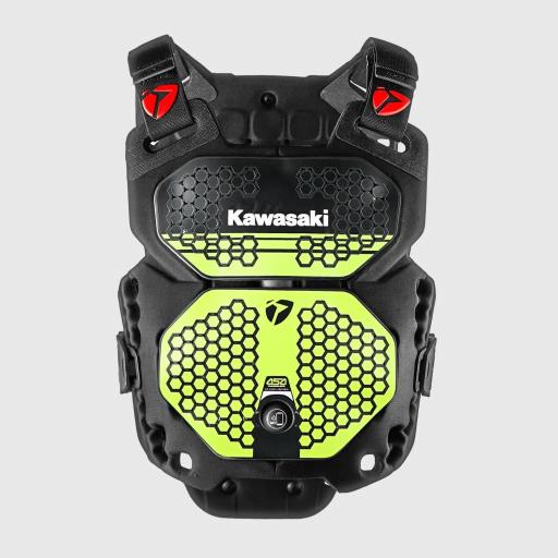 Peto RXR R-Pro 2 Kawasaki [1]