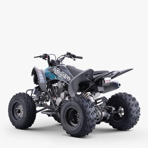 QUAD Apollo odjar PREDATOR 250 CC [6]