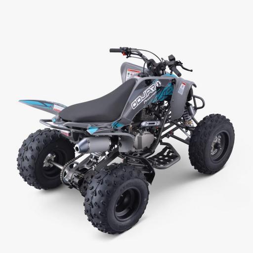 QUAD Apollo odjar PREDATOR 250 CC [3]