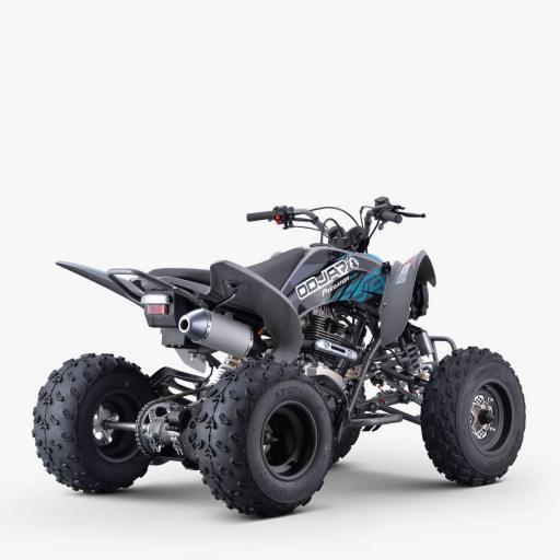 QUAD Apollo odjar PREDATOR 250 CC [2]