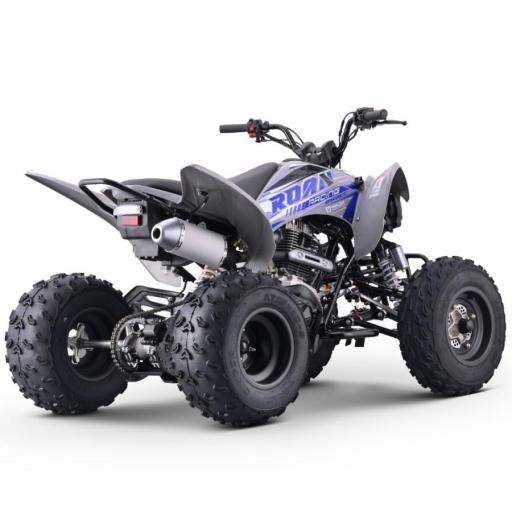 Quad Roan DAKAR  250cc R10 manual R-1-2-3-4 R10 [2]
