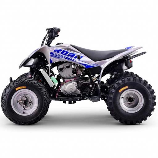 Quad Roan Dakar 300cc Zongshen R10 [3]
