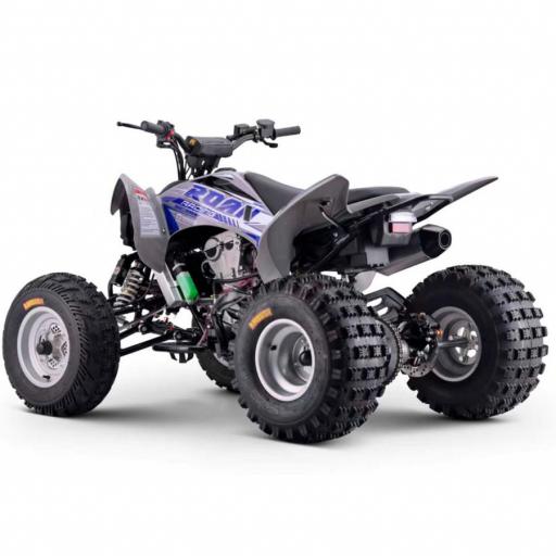 Quad Roan Dakar 300cc Zongshen R10 [1]