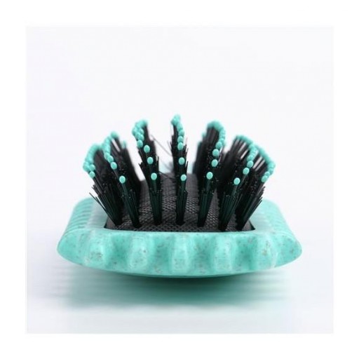 Cepillo Rizos biodegradable Asuer [1]