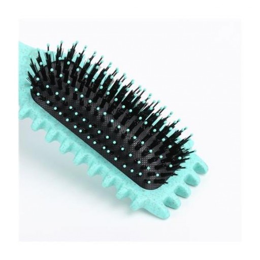 Cepillo Rizos biodegradable Asuer [0]