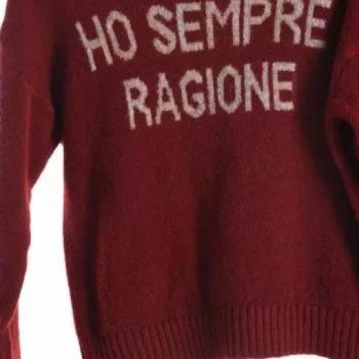 Jersey de mezcla de lana "Ho Sempre Ragione" [3]