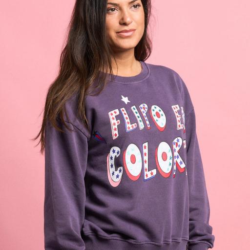 Sudadera Anabel Lee "Flipo en colores" [3]