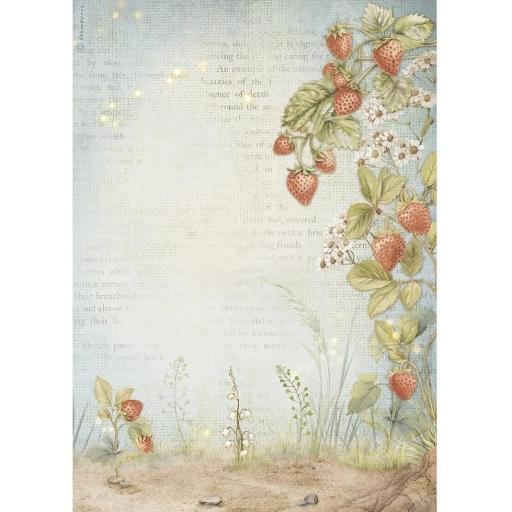 Papel De Arroz Fresas Hidden Grove Stamperia