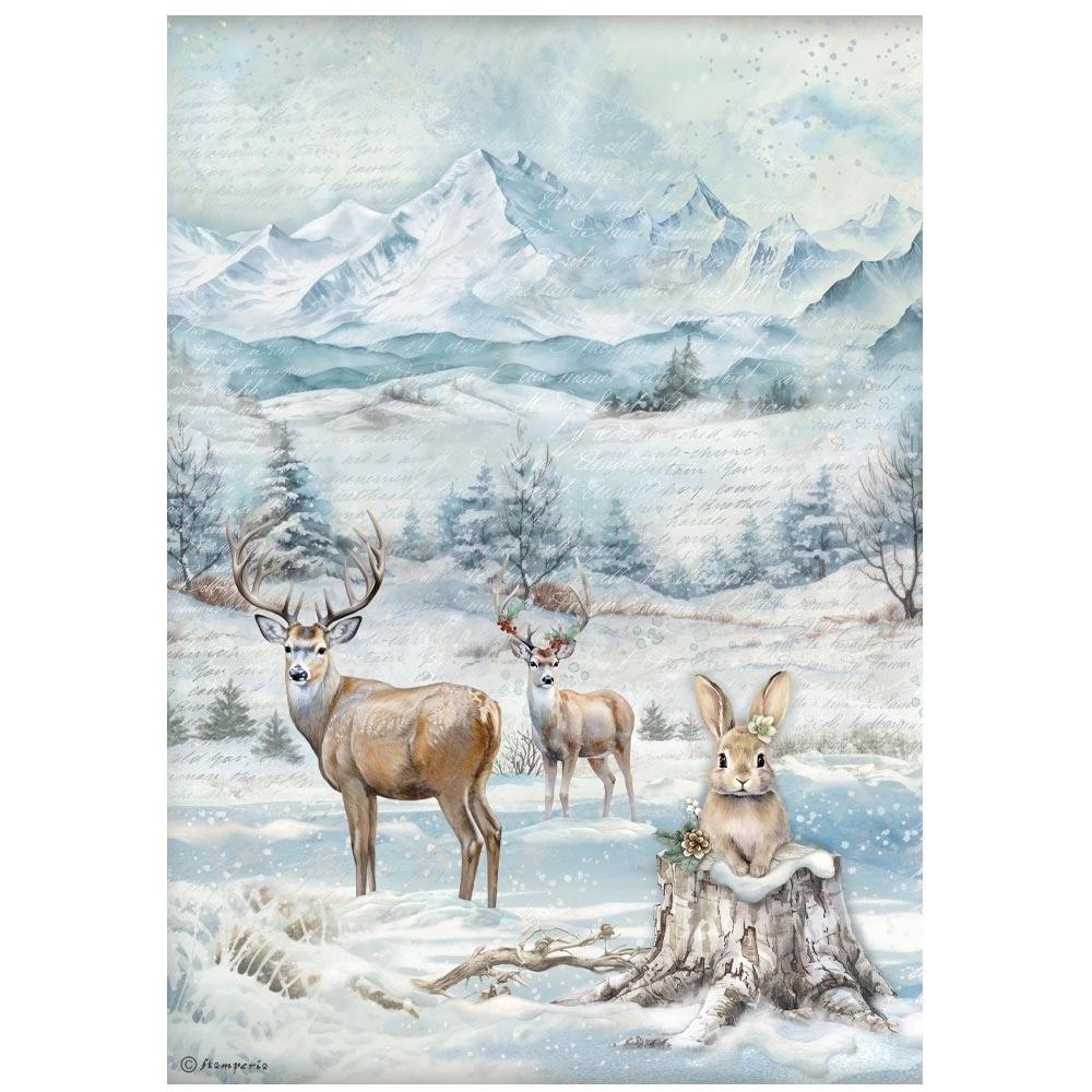 Papel De Arroz Vida Salvaje The Owl´s House Stamperia