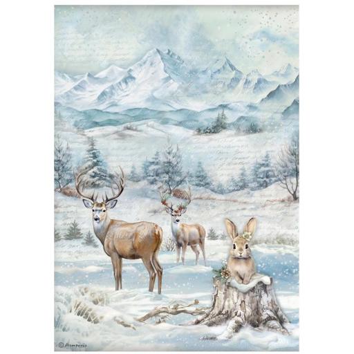 Papel De Arroz Vida Salvaje The Owl´s House Stamperia [0]