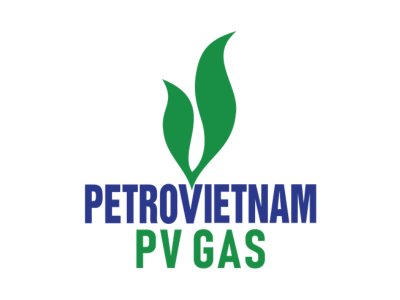 PETROVIETNAM.png