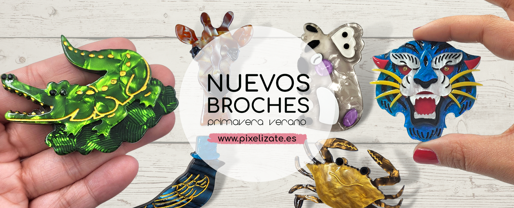 Broches22Pixelizate22.png
