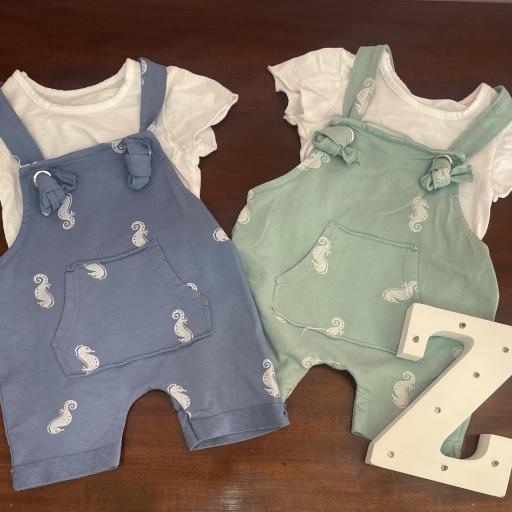 Conjunto ZOIDINES