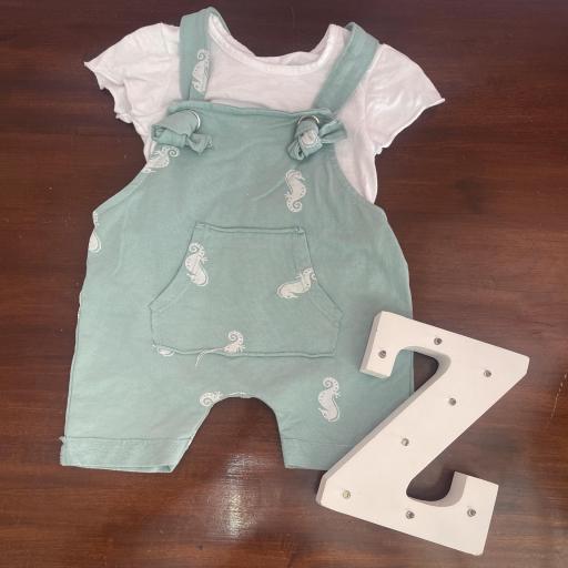 Conjunto ZOIDINES [1]