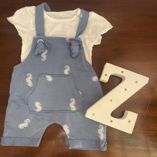 Conjunto ZOIDINES [2]
