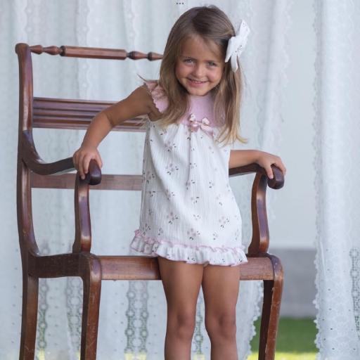 Jesuito pío Pío [3]