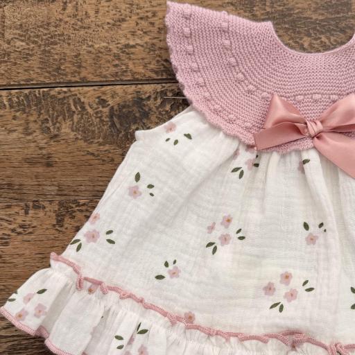 Jesuito pío Pío [1]