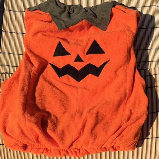 Traje calabaza Name It