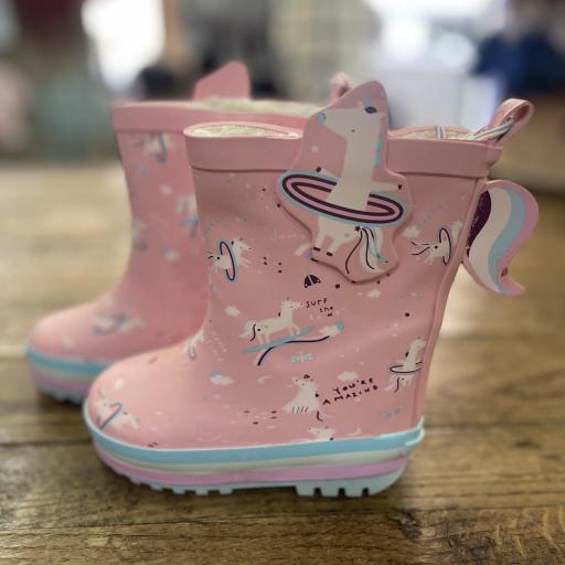 Botas de agua Zoidines