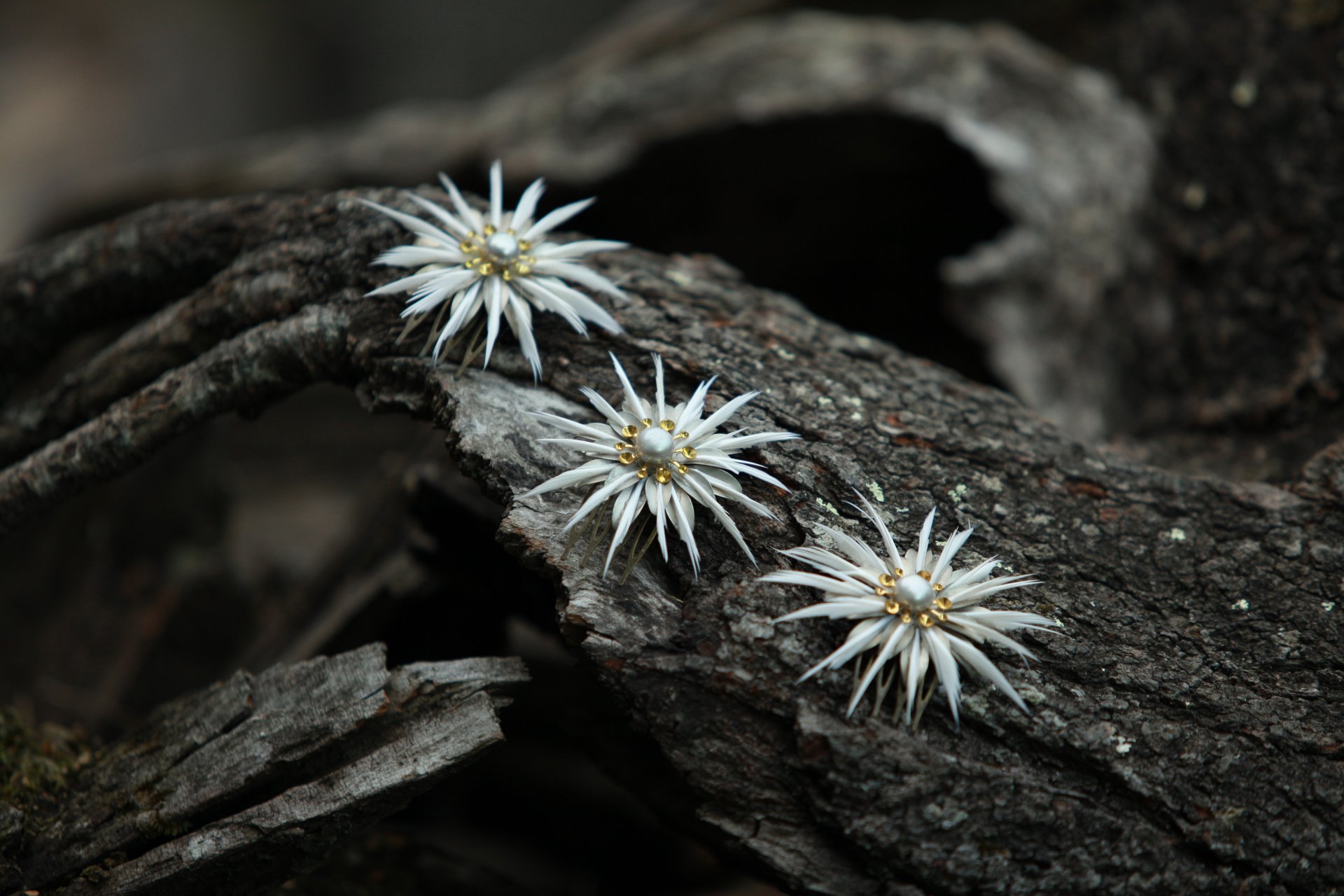 peinetas novia asteria rara avis tocados