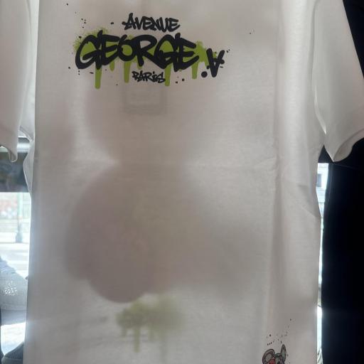Camiseta George v Paris  [1]
