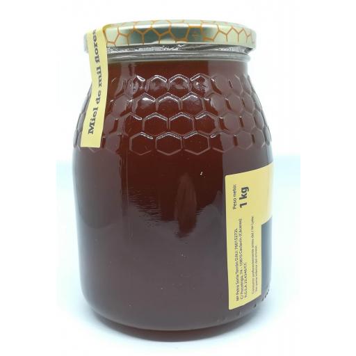 Miel Mil Flores Queen Honey 1 Kg. [1]